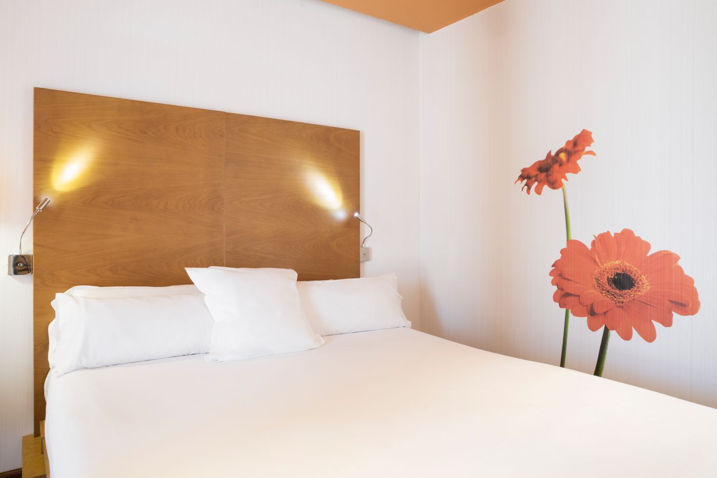 Petite-Palace-Plaza-Hotel-Room-15