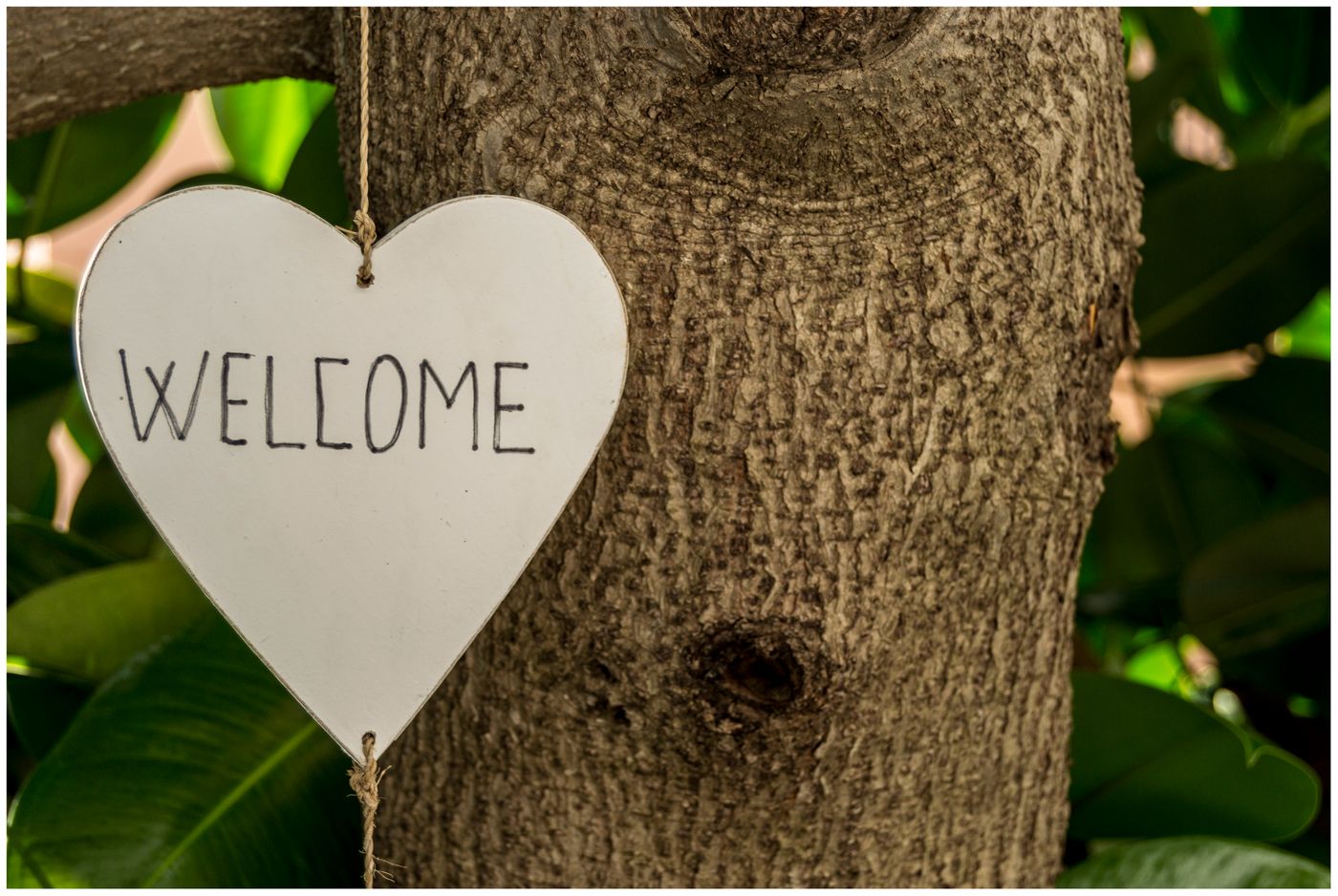 Valencia-General-view-12