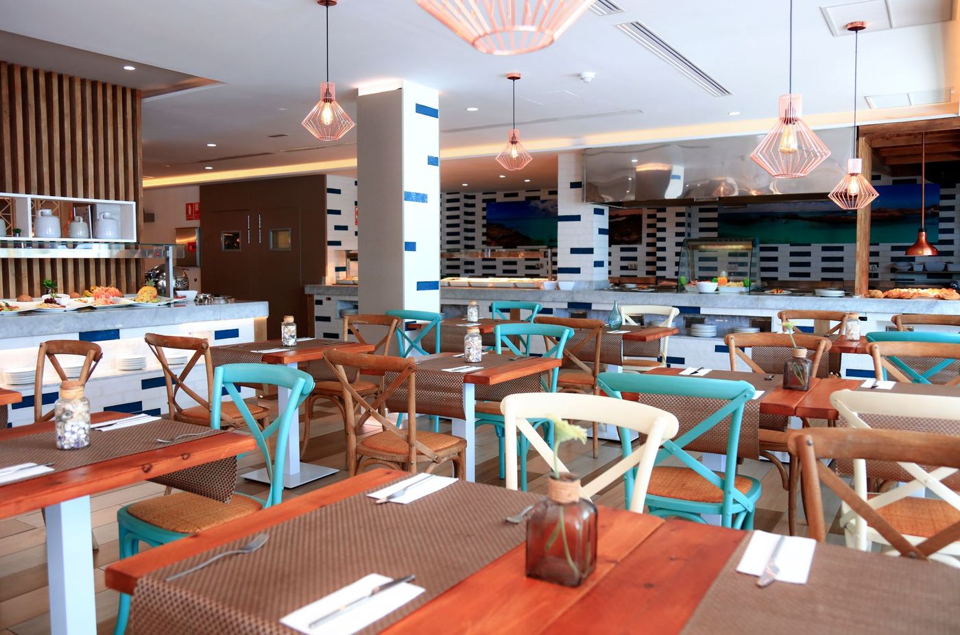 Lemon & Soul Cactus Garden