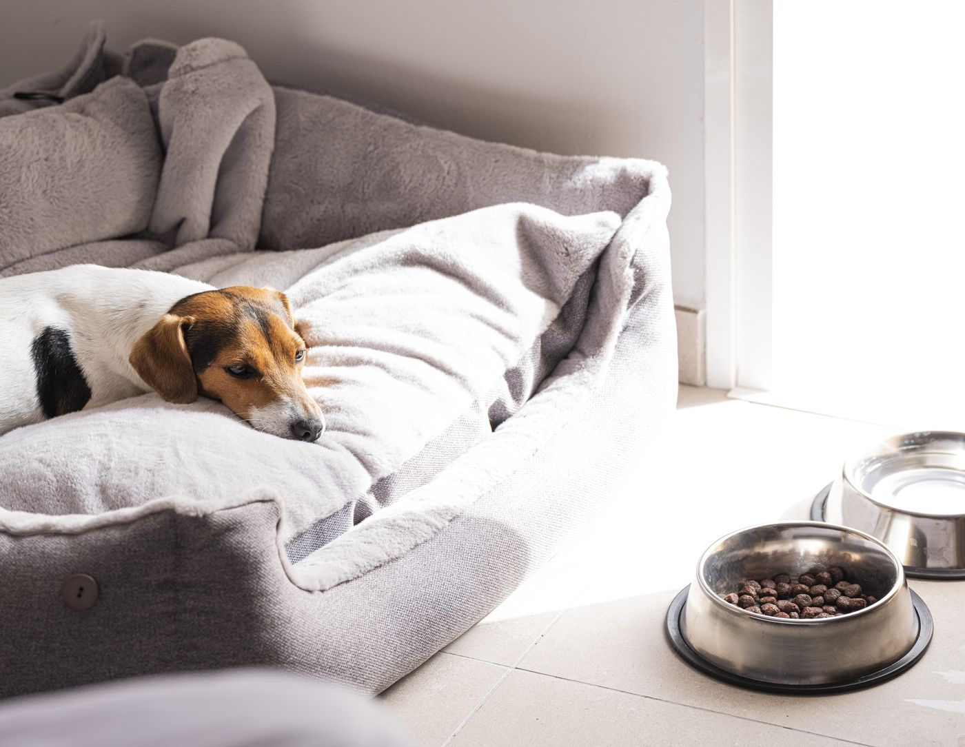 Sholeo-Lodges-Los-Gigantes---Adults-Recommended-General-view-46