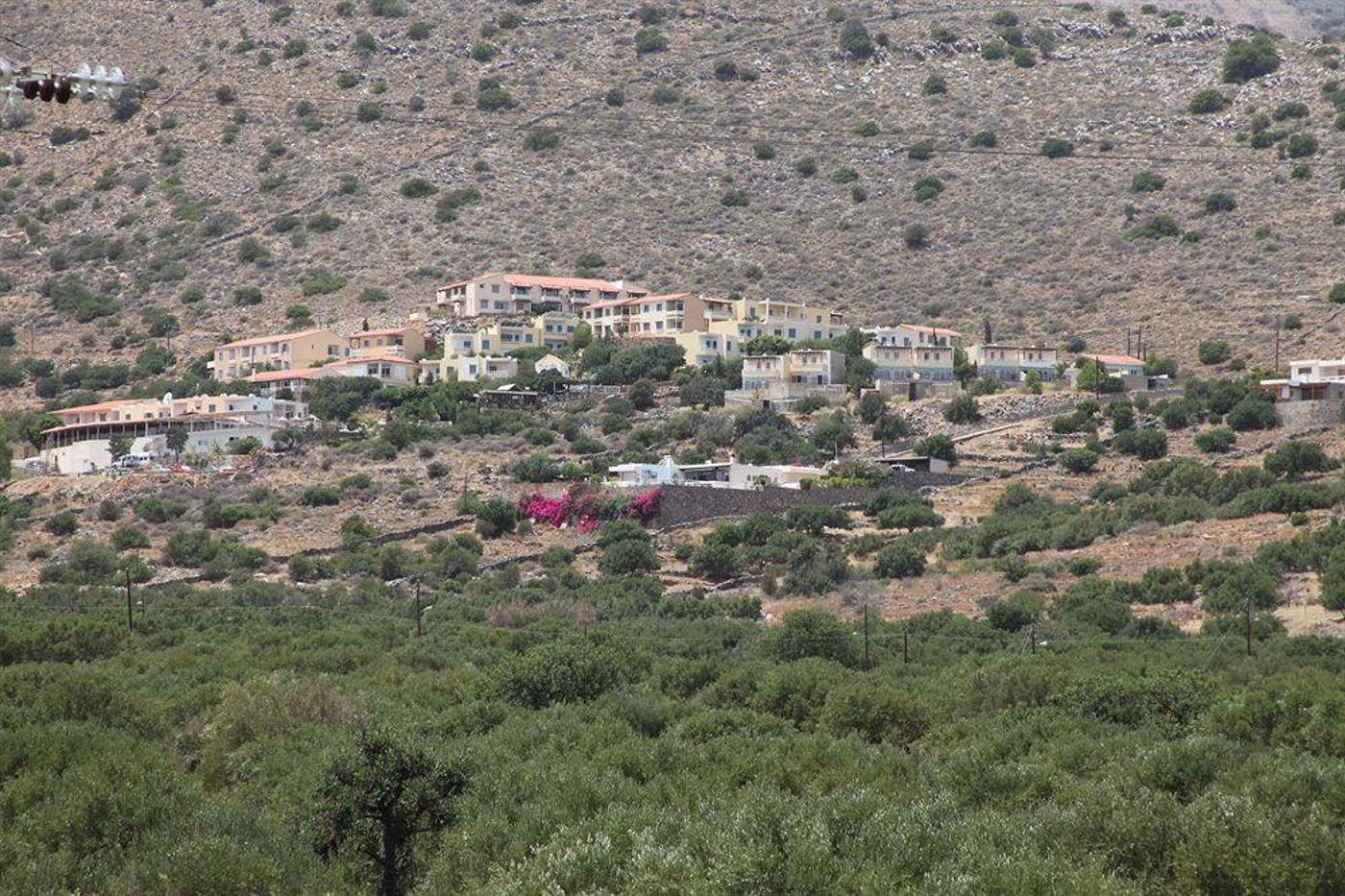 Elounda-Olive-Garden-Studios-General-view-2