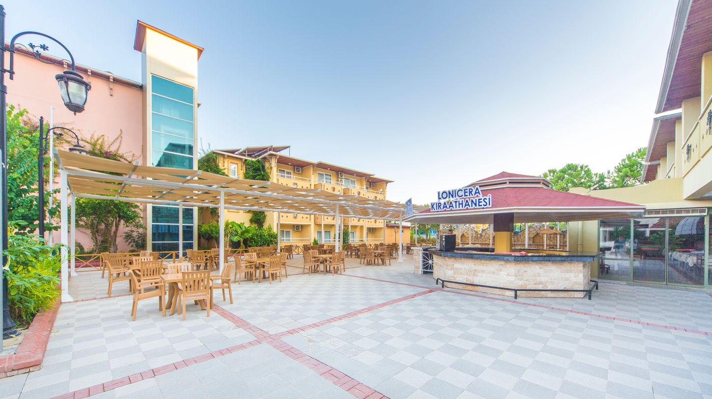 Lonicera--World-General-view-21