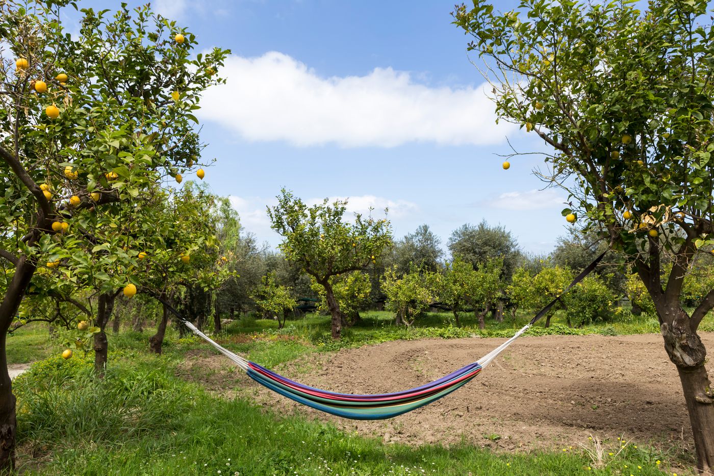 Relais-Regina-Giovanna-Sports-and-Entertainment-48