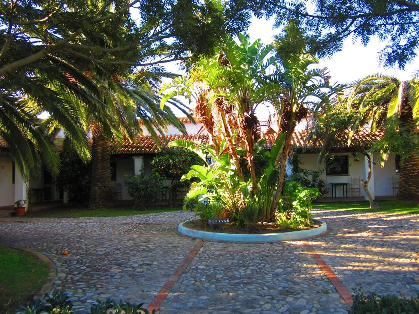 Cortijo-Las-Pi----as-Terrace-5