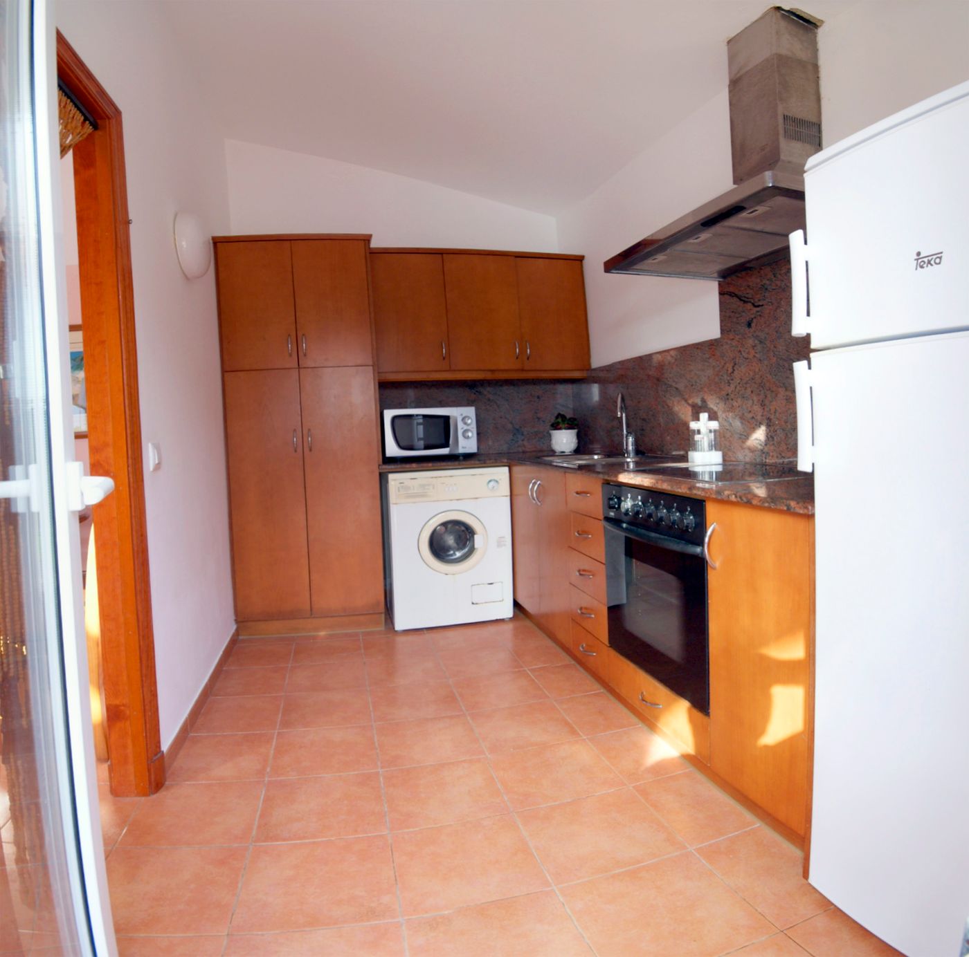 Begonias-General-view-12