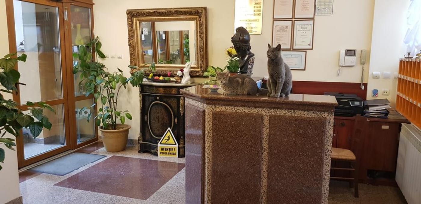 Michelangelo - Romania - BUCHAREST CITY - Lobby - 7