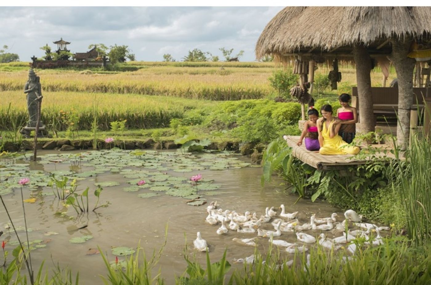 Visesa Ubud Resort-Indonesia-Bali-General view-4
