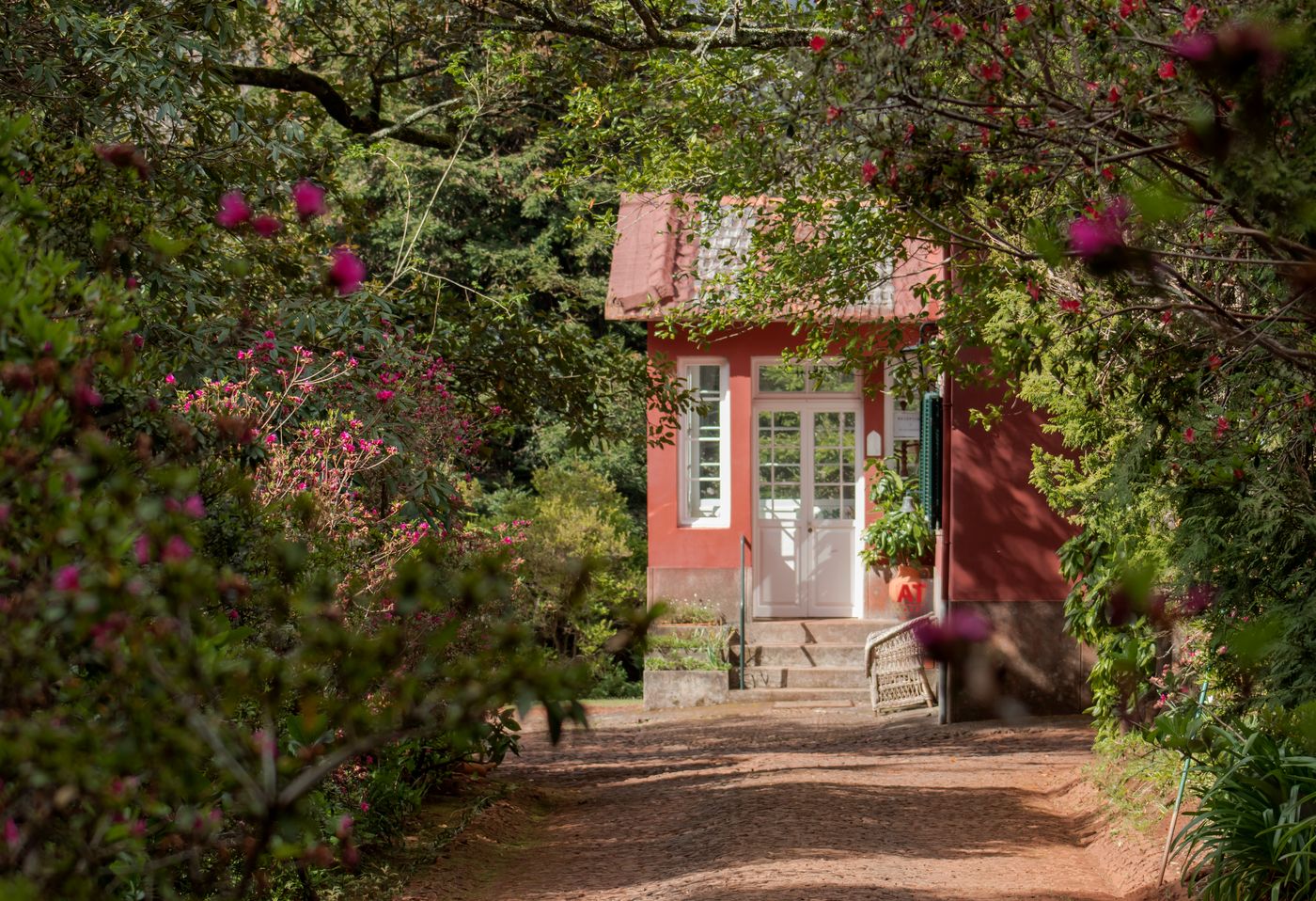 Quinta-Santo-Antonio-Da-Serra-General-view-17