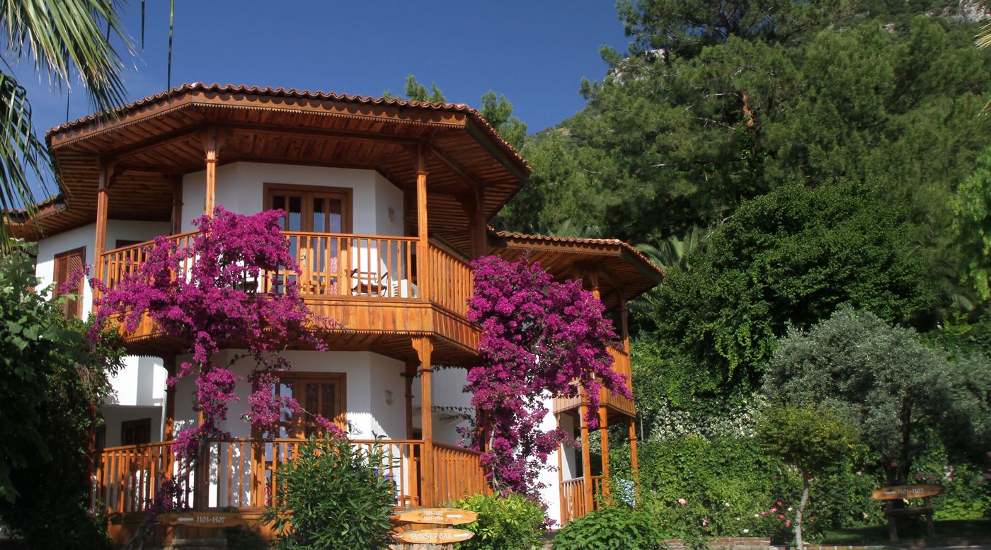 Montana-Pine-General-view-10