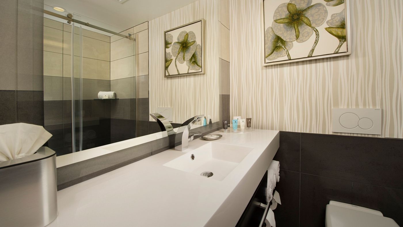 Skybridge Seattle Airport Hotel-United States-SEATTLE-Room-9