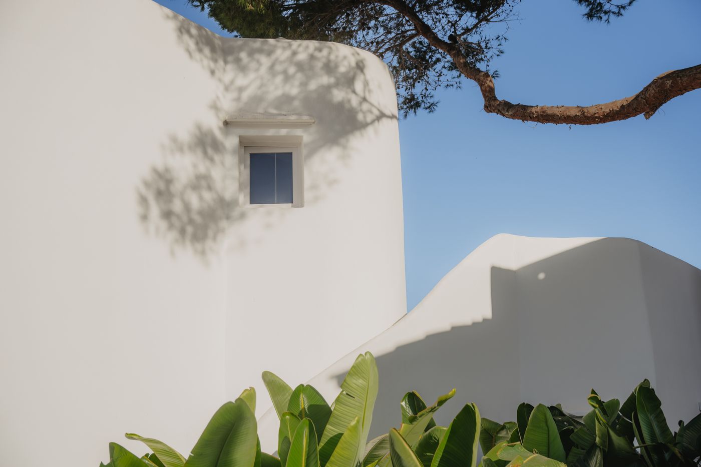 Fergus Punta Arabi IBZ