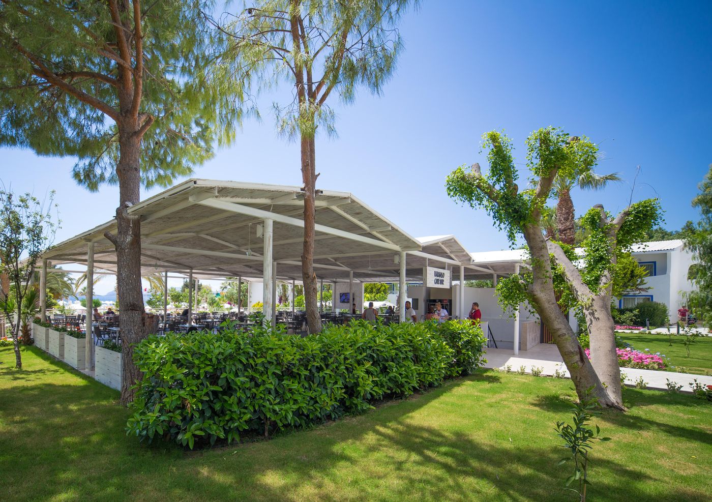 Labranda-TMT-Resort-Bar-16