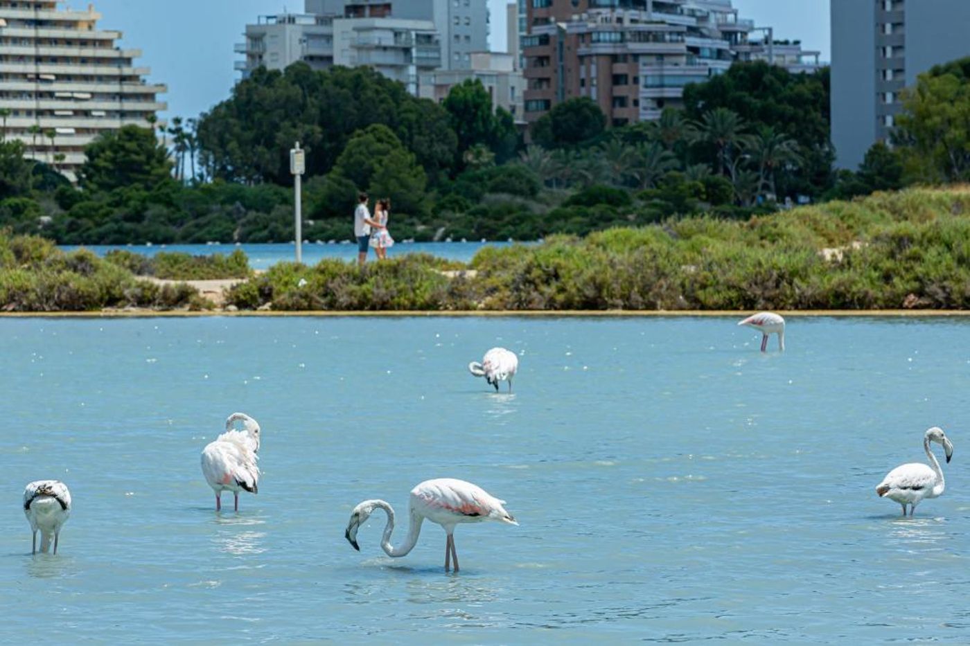 AR-Roca-Esmeralda---Spa-Sports-and-Entertainment-38