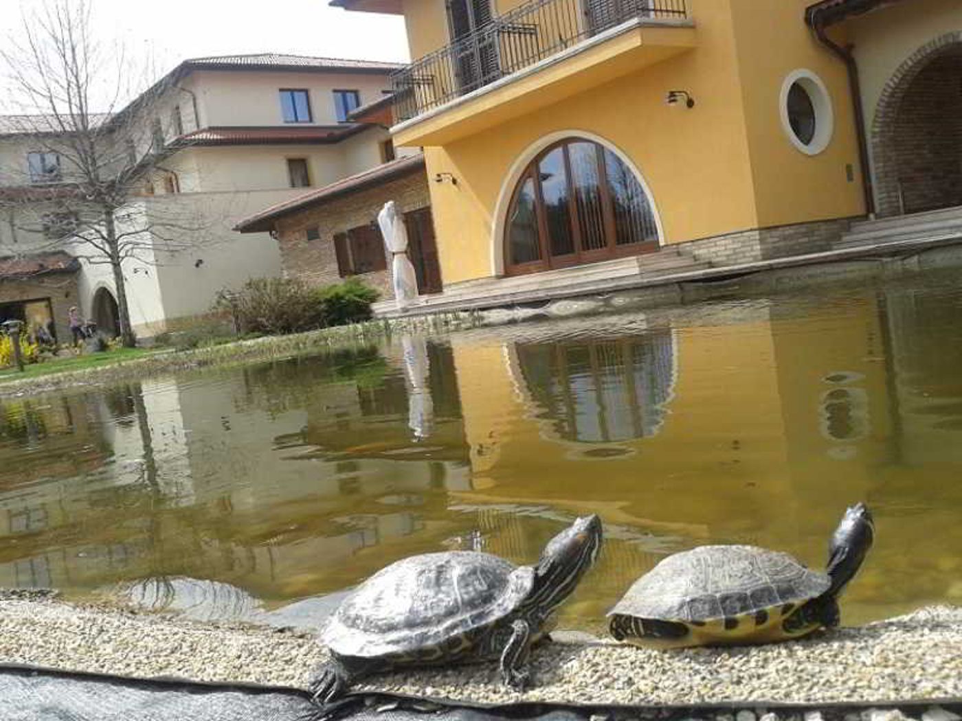 Budapest-Airport-Hotel-Stacio-Superior-Wellness-Terrace-40