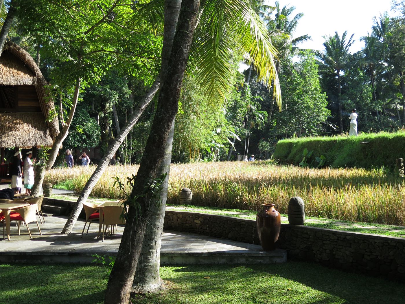 Arma Museum and Resort-Indonesia-UBUD-General view-8