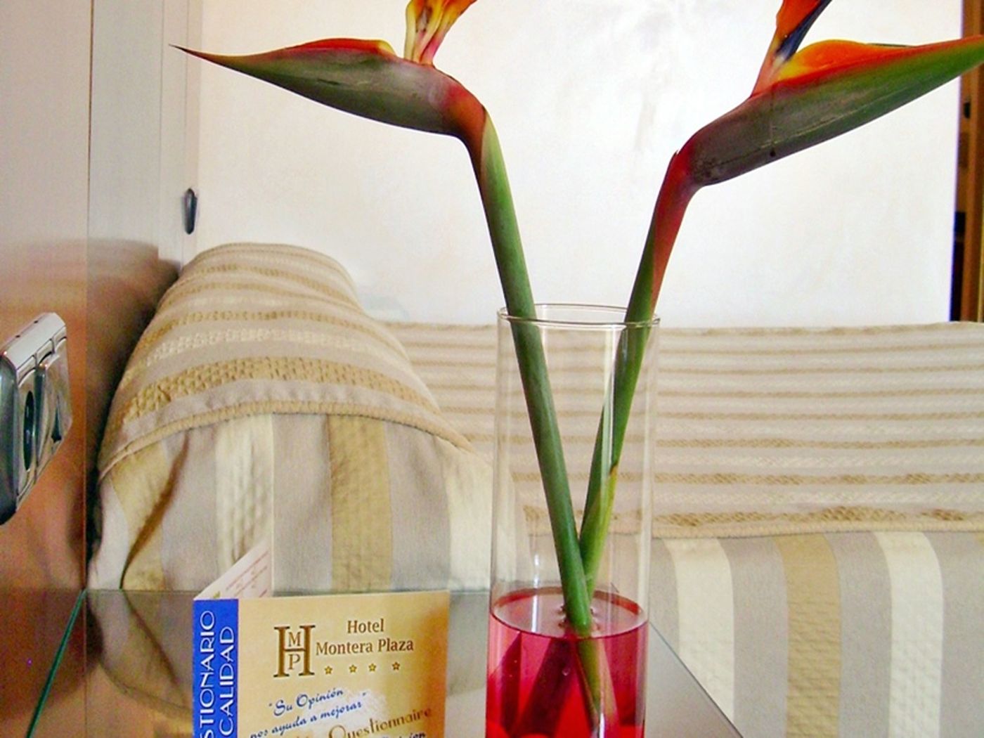 Montera-Plaza-General-view-9