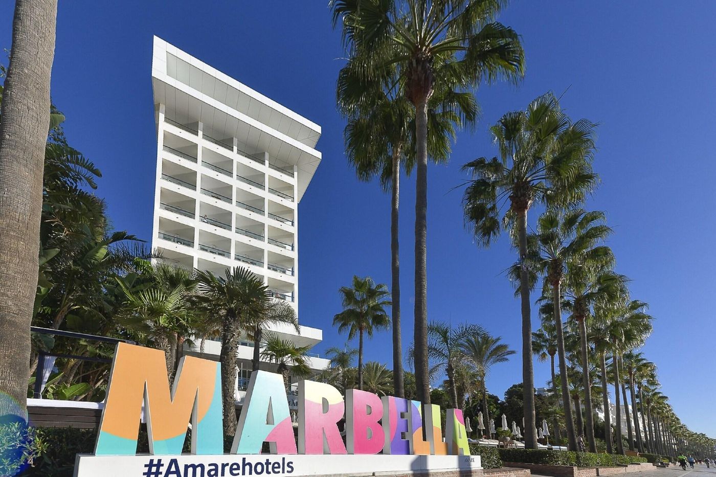 Am----re-Marbella-Beach-Hotel-General-view-16