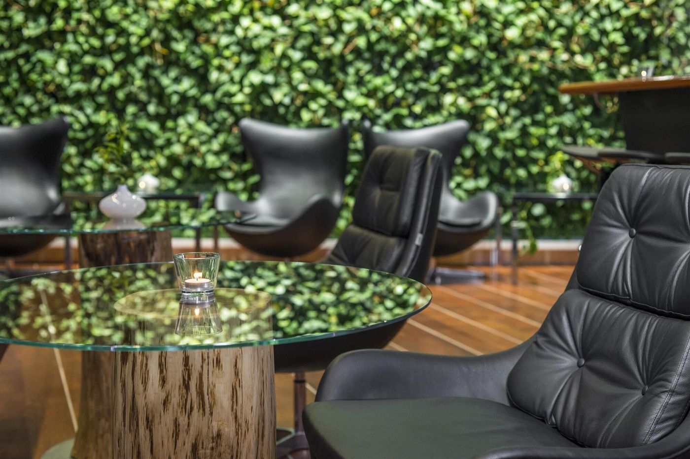 Dorint Kongresshotel Düsseldorf/Neuss - Germany - NEUSS - Terrace - 2