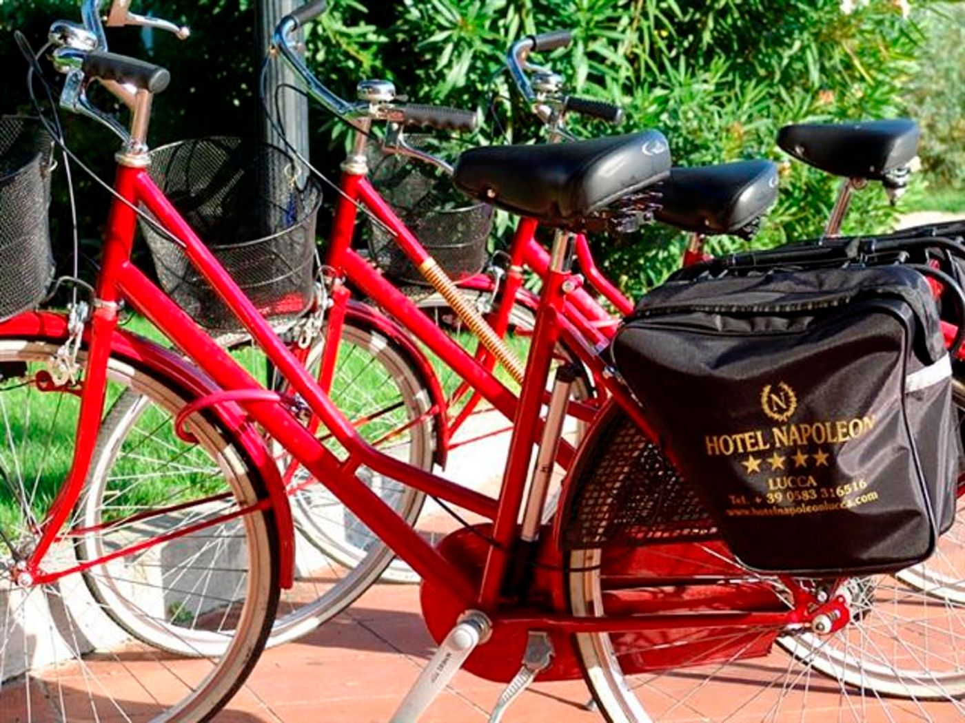 Napoleon-Sports-and-Entertainment-6