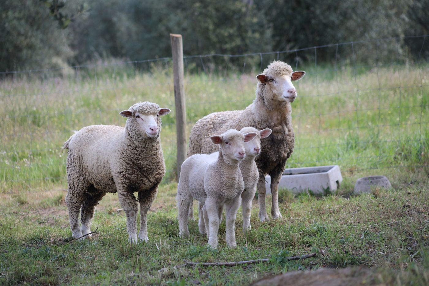 Casa-Do-Governador-Sports-and-Entertainment-63