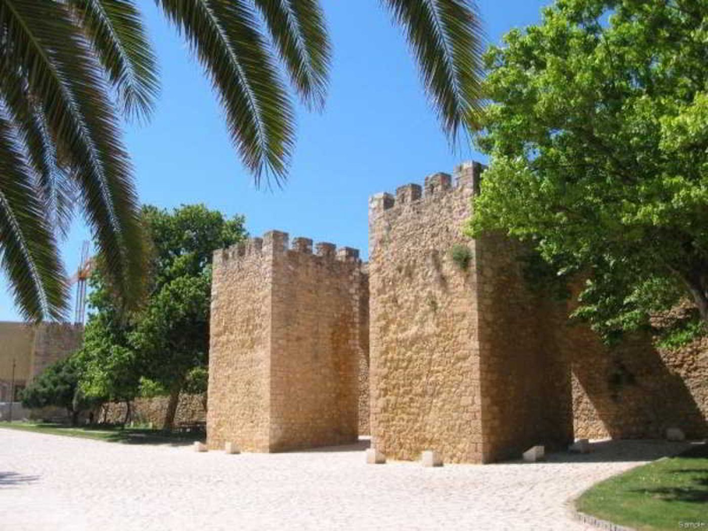 Vilas-Dinis---Adults-Only-Sports-and-Entertainment-12