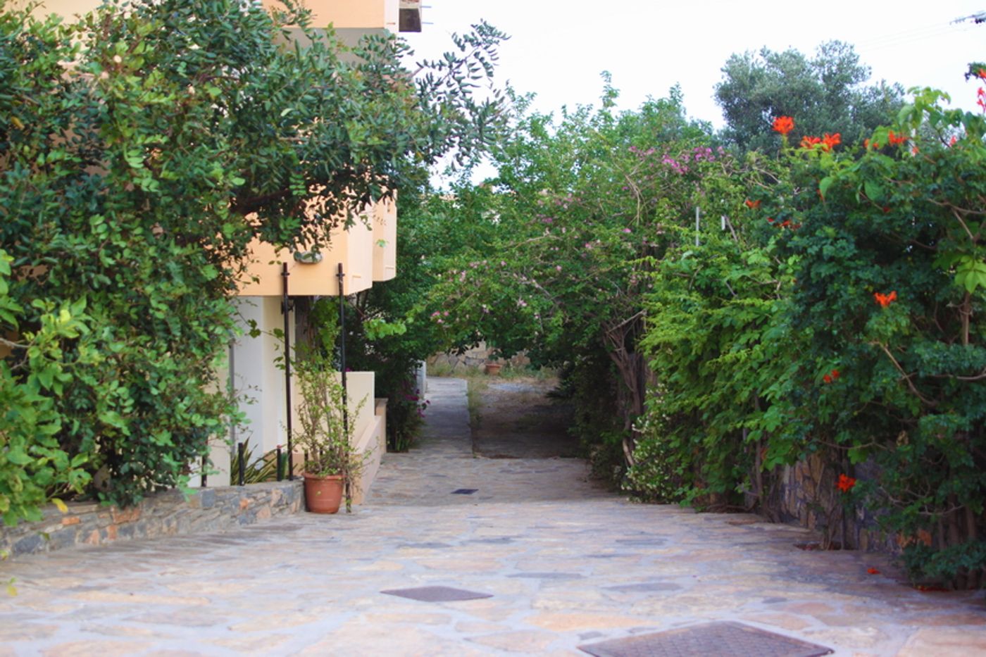 Argyro Studios and Apartments