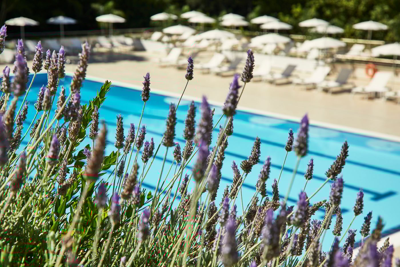 Villa-Pamphili-Pool-87