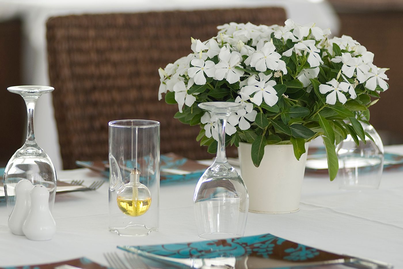 Coco Ocean Resort & Spa