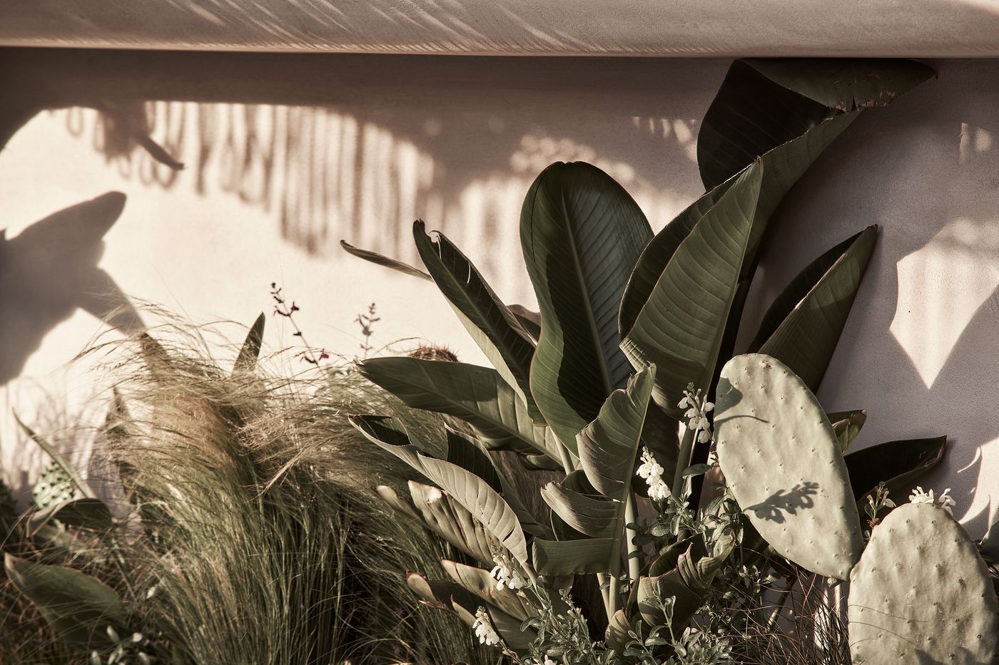 Amyth-of-Mykonos-Hotel-Terrace-13