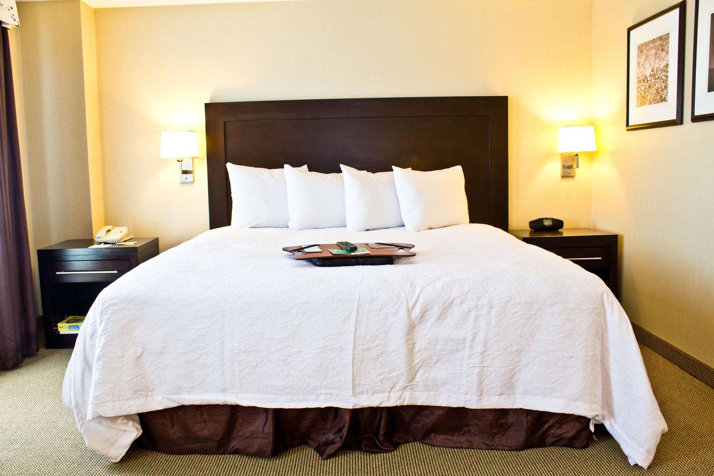 Hampton-Inn---Suites-Boston-Crosstown-Center-Room-11