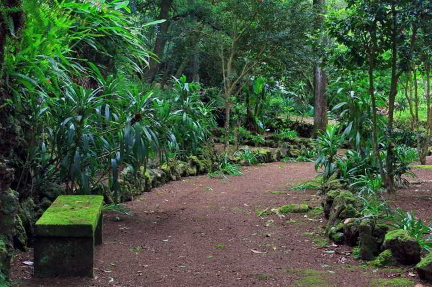 Solar-Do-Conde-General-view-12