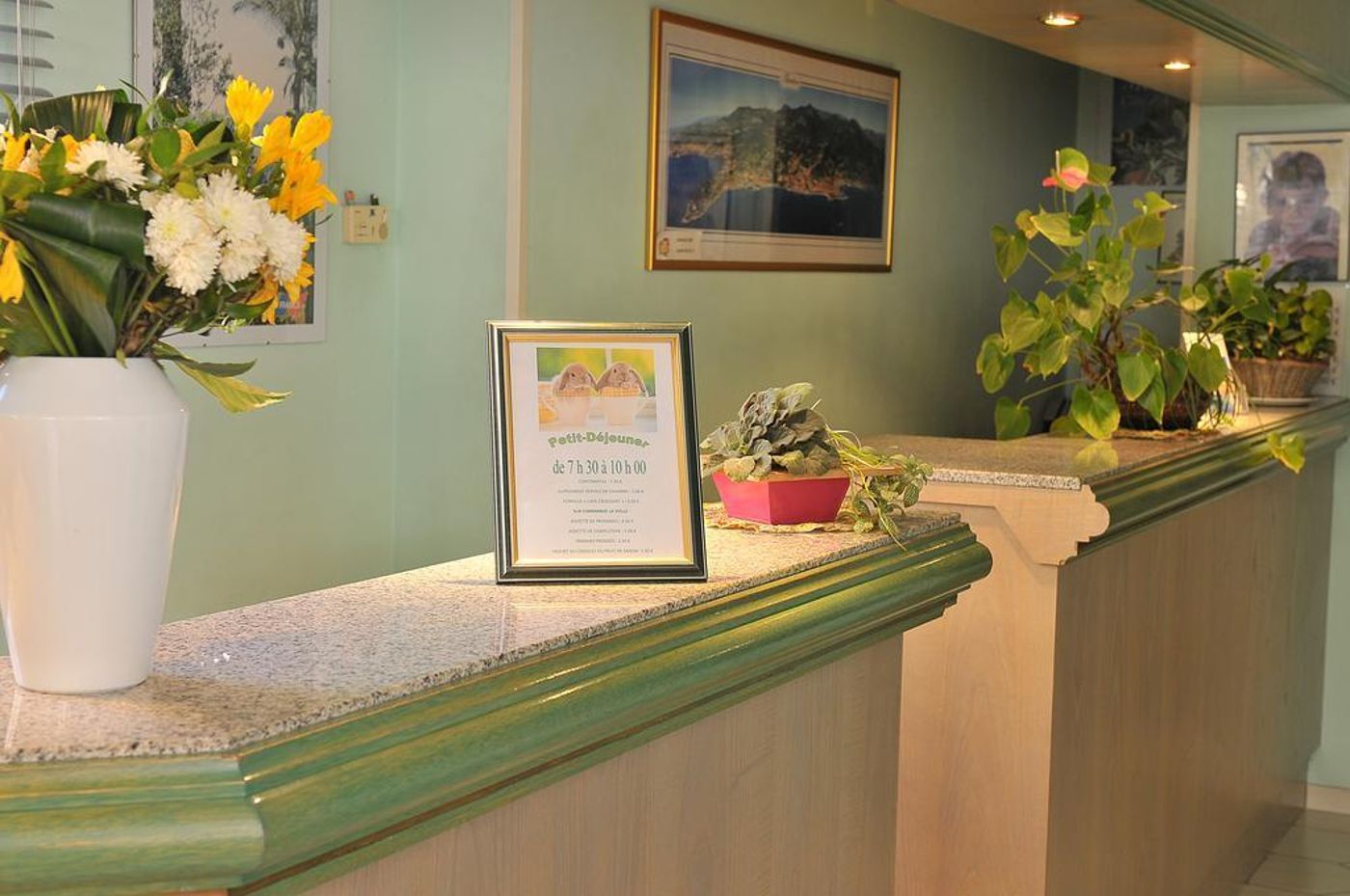 Narevs-France-MENTON-General view-10