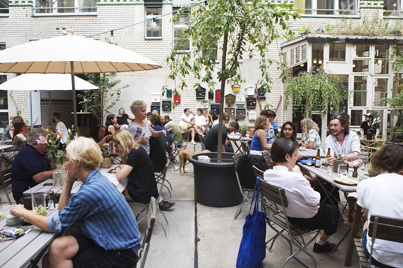 Michelberger-Terrace-44