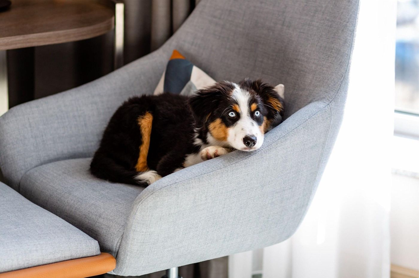 Courtyard-Berlin-City-Center-Room-42