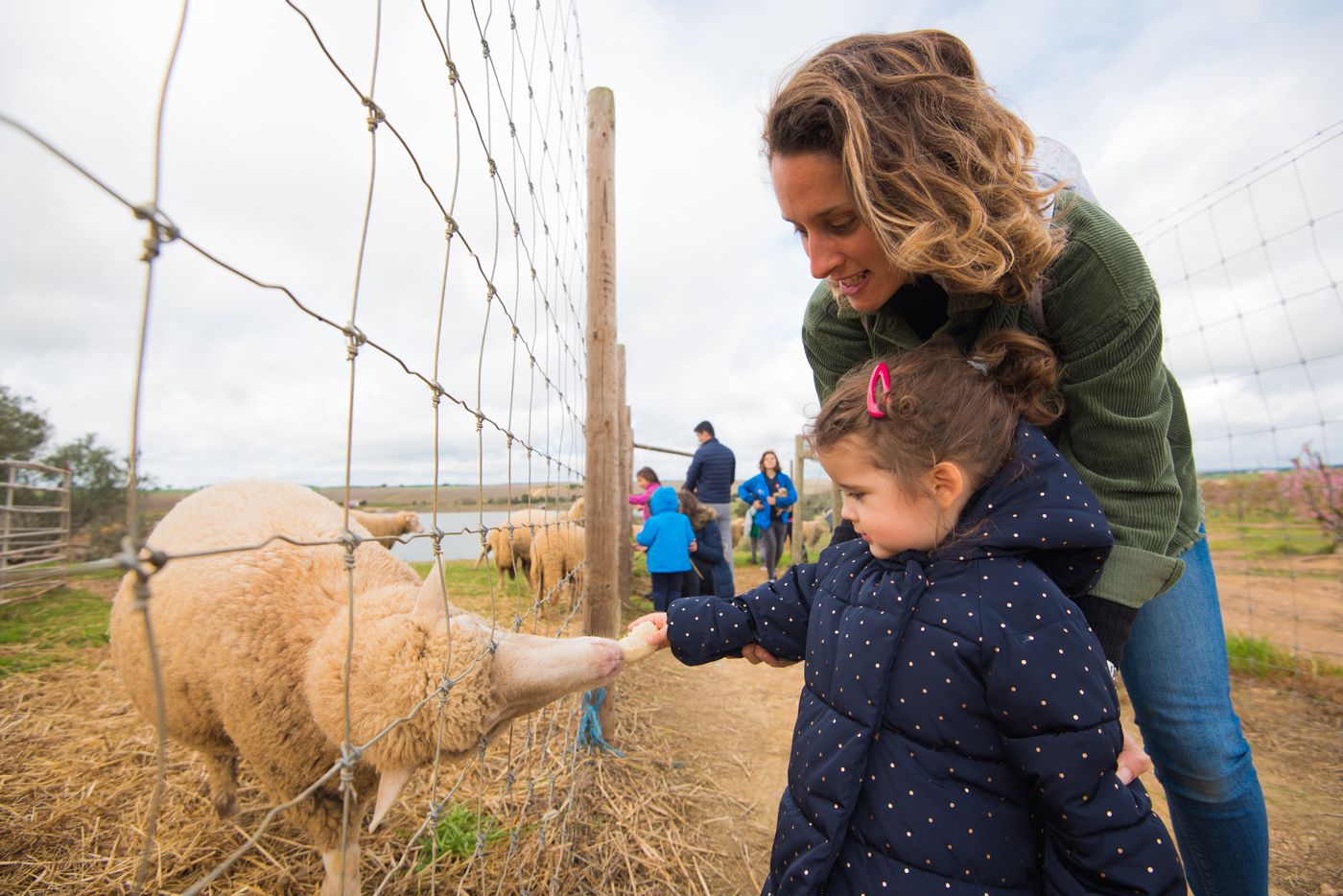 Vila-Gale-Alentejo-Vineyards--Clube-de-Campo--Sports-and-Entertainment-32