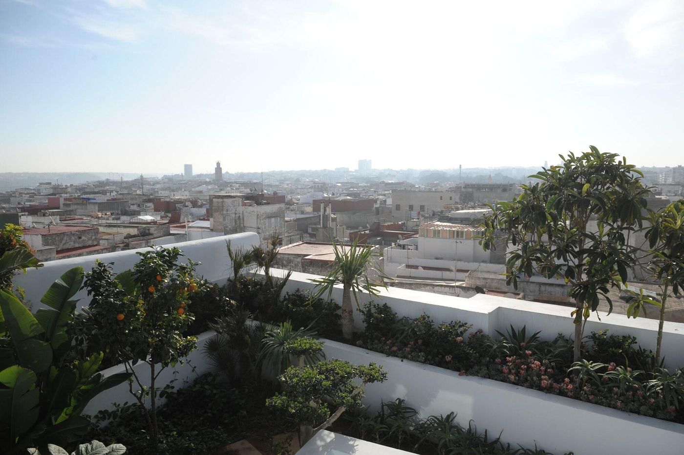 Euphoriad-Morocco-RABAT-General view-2