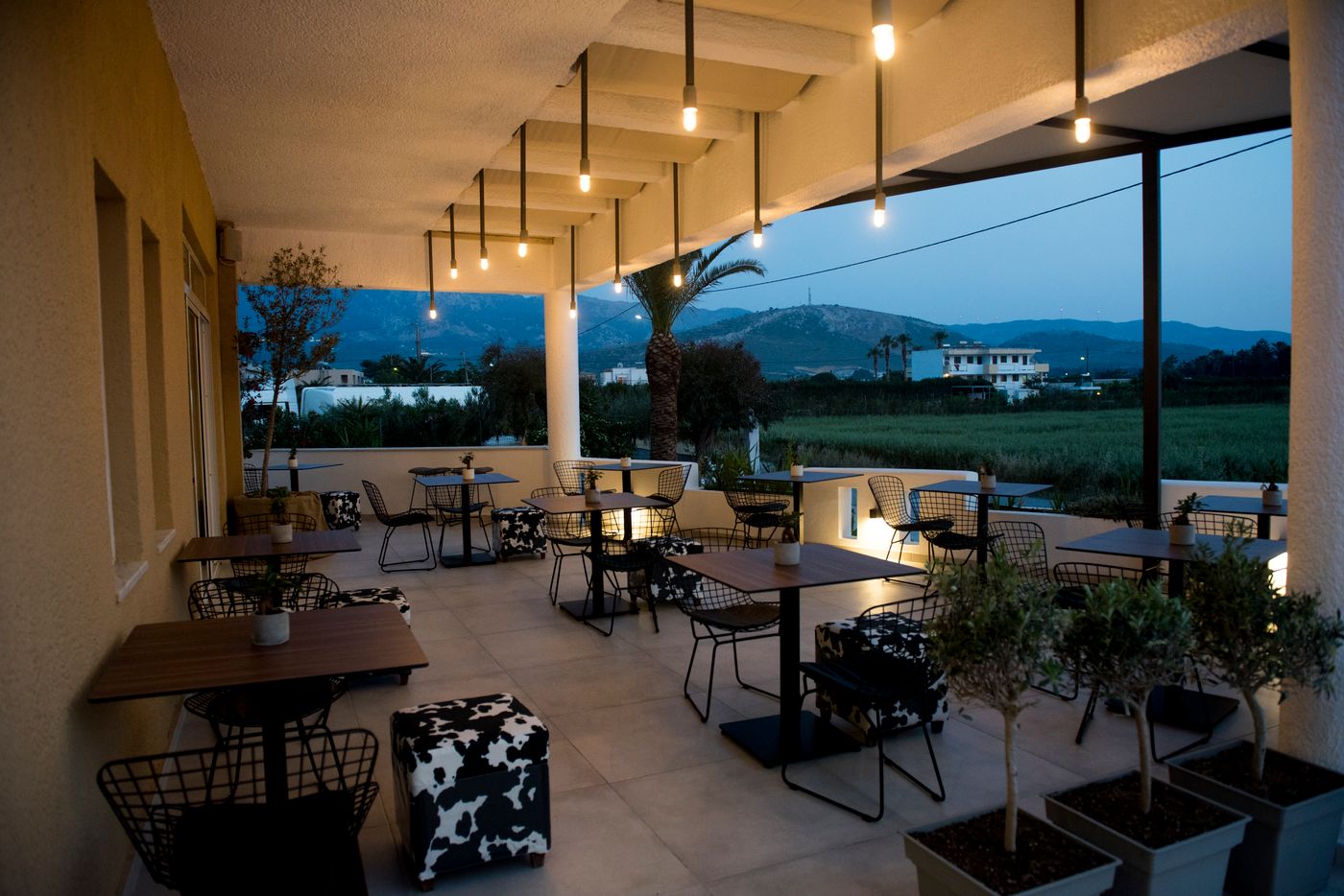 Golden-Star-Terrace-9