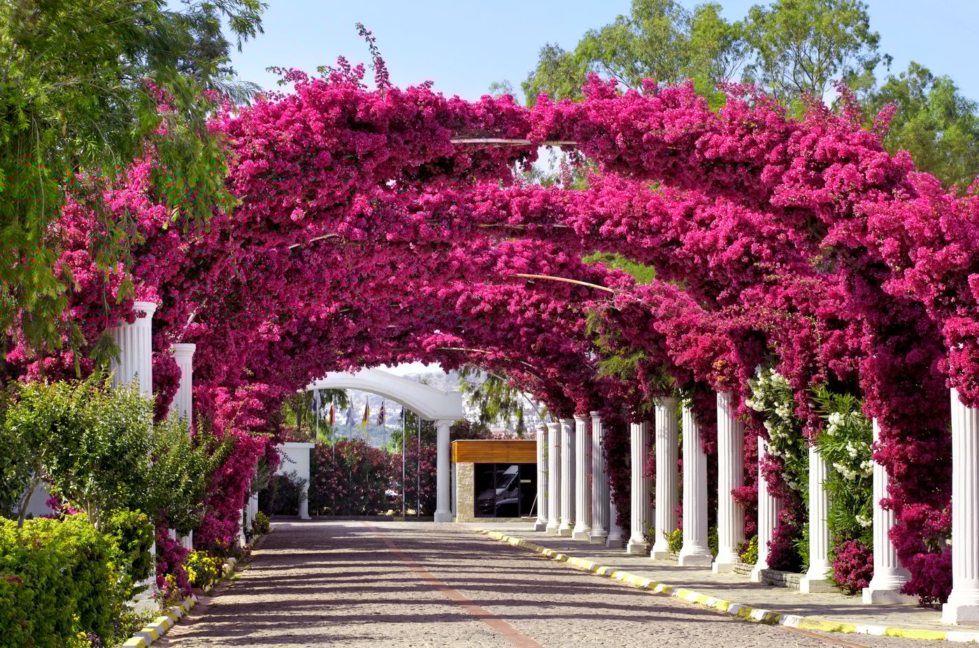 Kadikale-Resort-Spa-Lobby-23