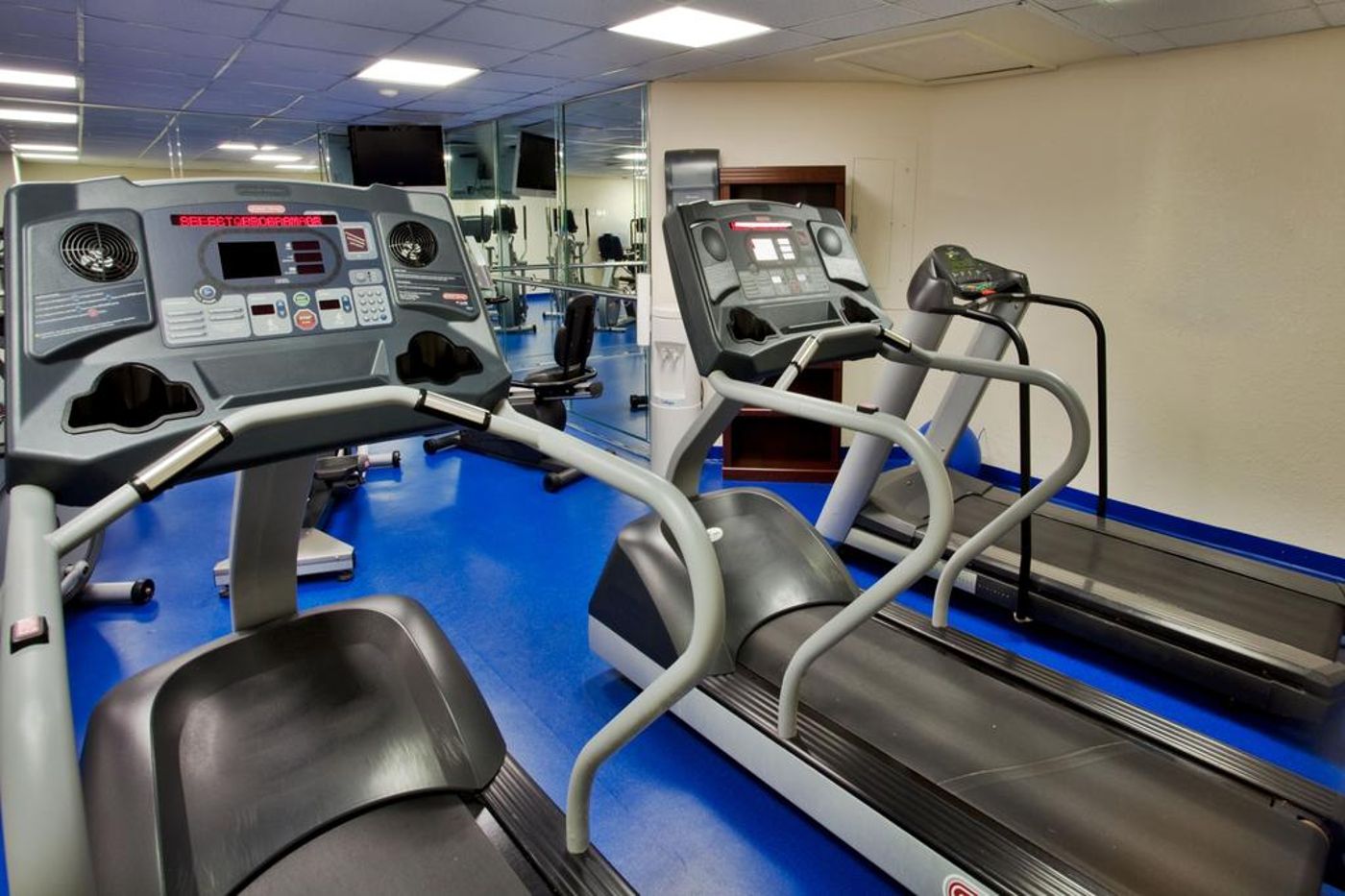 Holiday Inn At Orlando International Airport