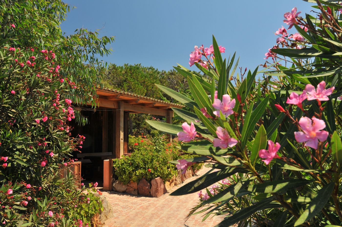 Torre-Del-Porticciolo-Camping---Village---Gampling-Room-13