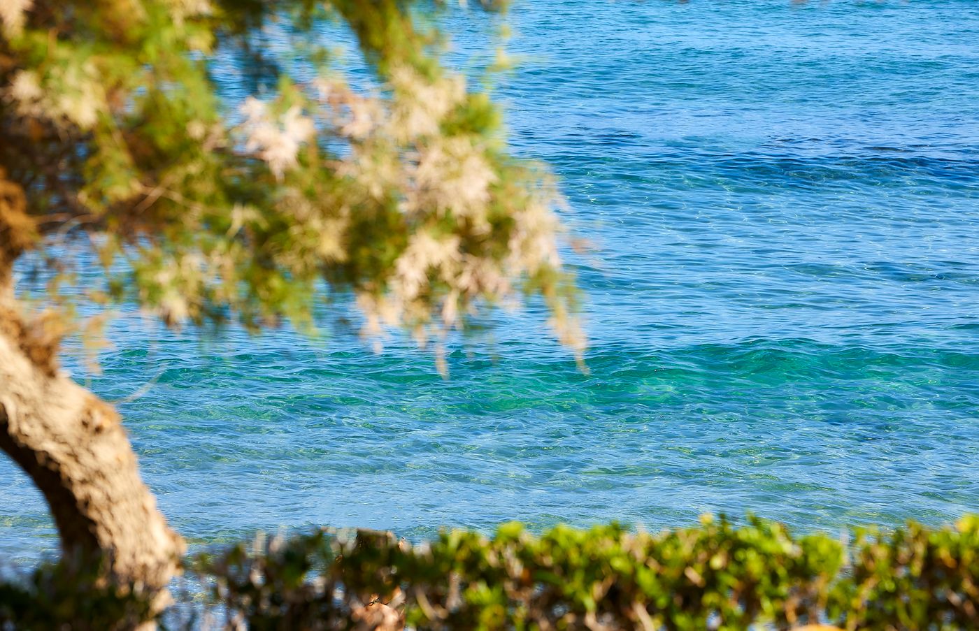 Alexander-Beach-Hotel-and-Village-Room-91