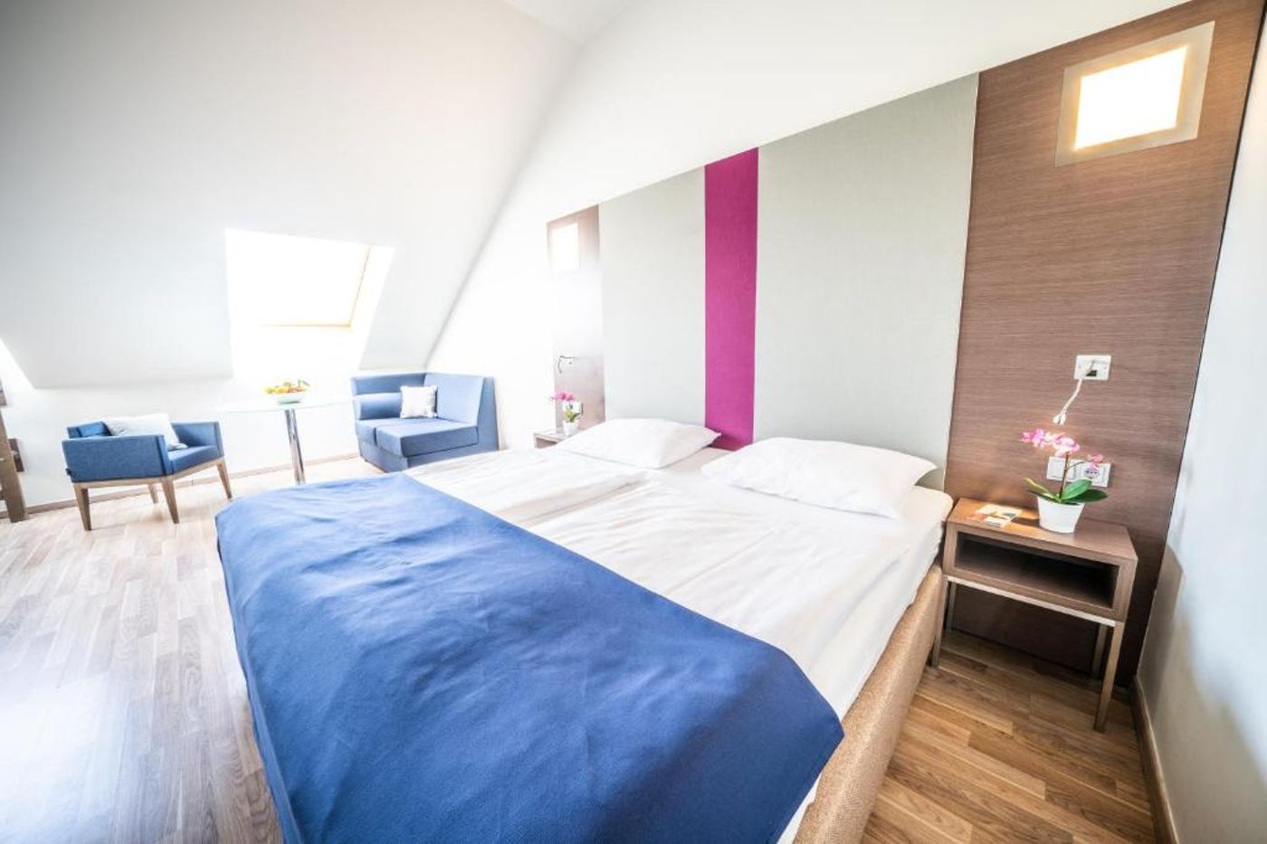 Hotel Orangerie - Austria - VIENNA - Room - 13