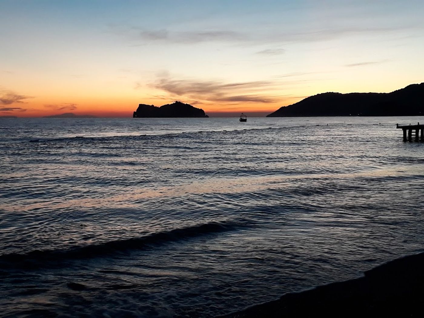 Dolphin-Apart-Beach-51