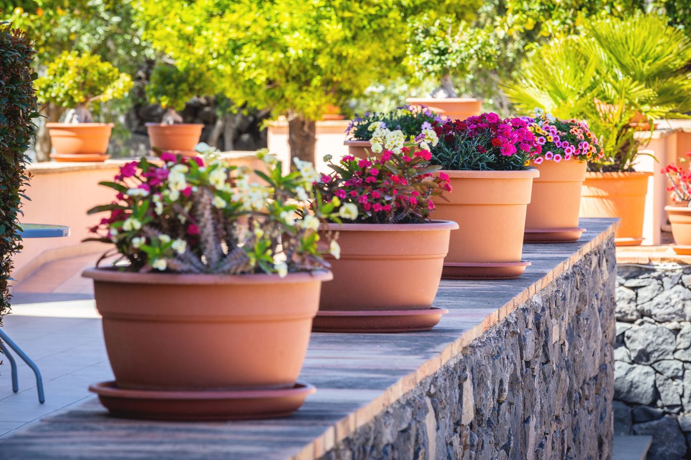 La-Terra-Dei-Sogni-Hotel---Farm-House-Lobby-29