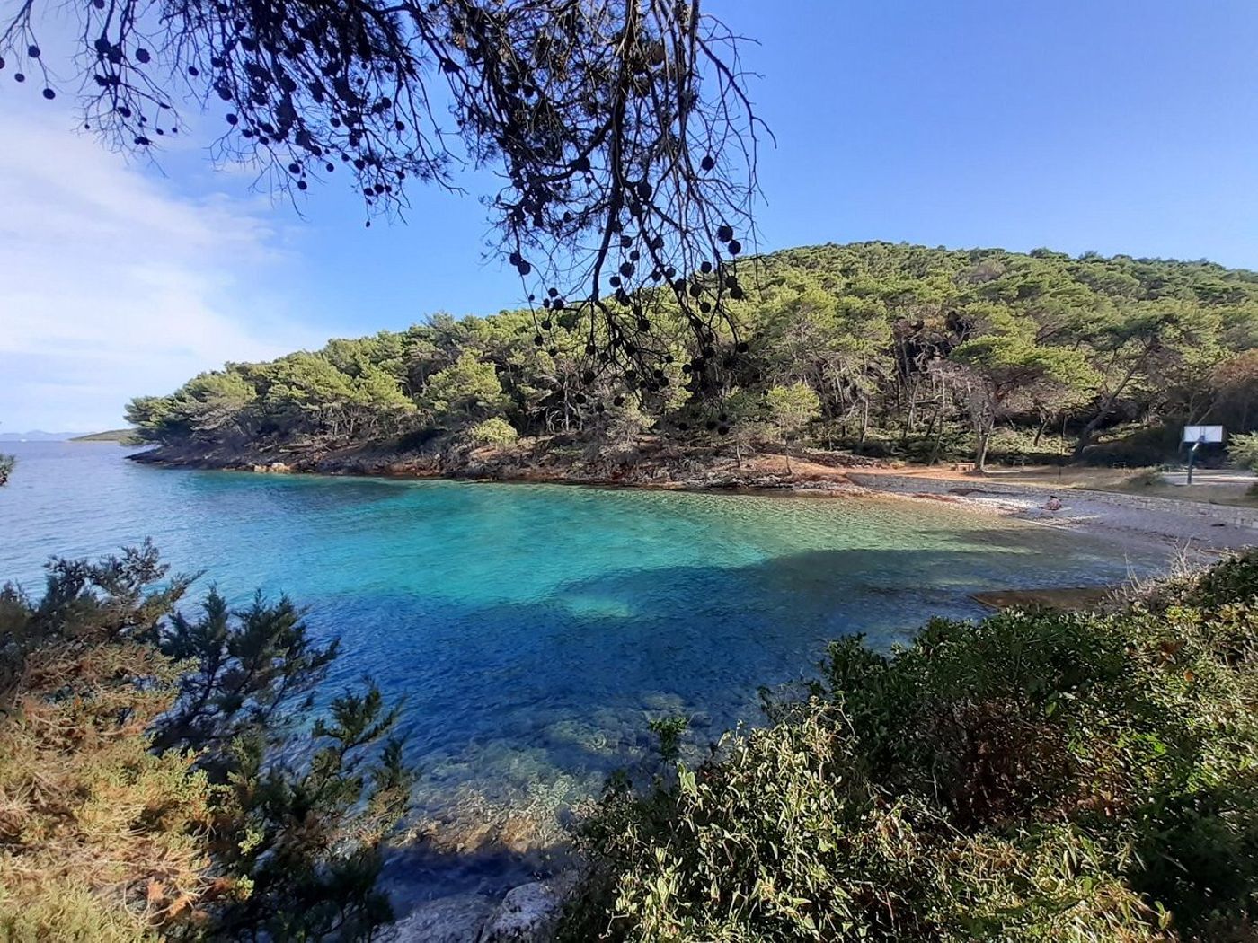 Bozava---Maxim-General-view-20