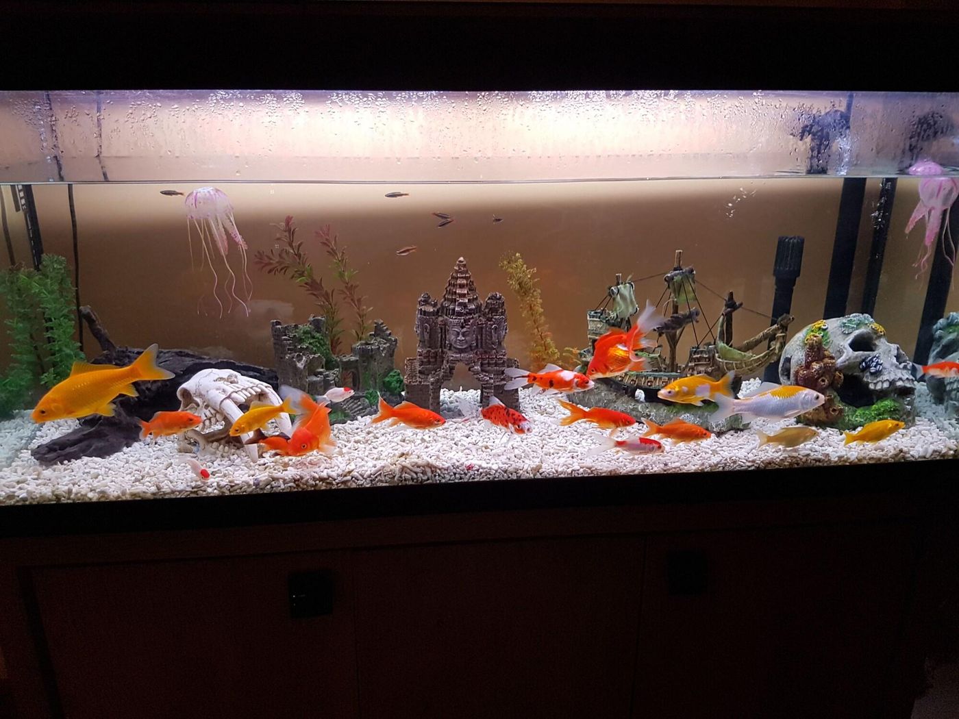 Moorepark West House - Ireland - FERMOY - Lobby - 8