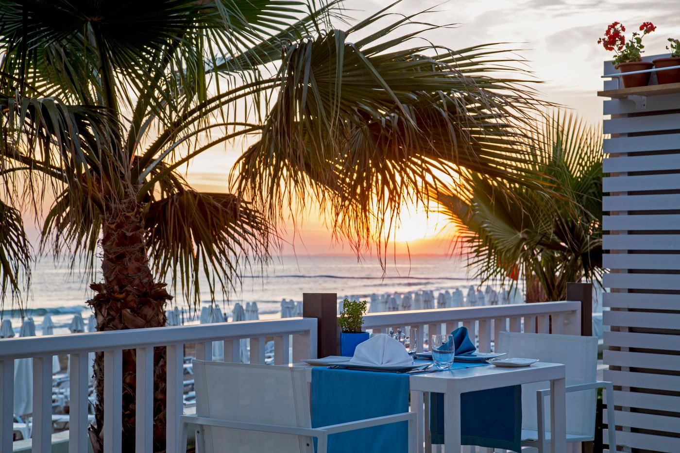 Acanthus-Cennet-Barut-Collection-Restaurant-64