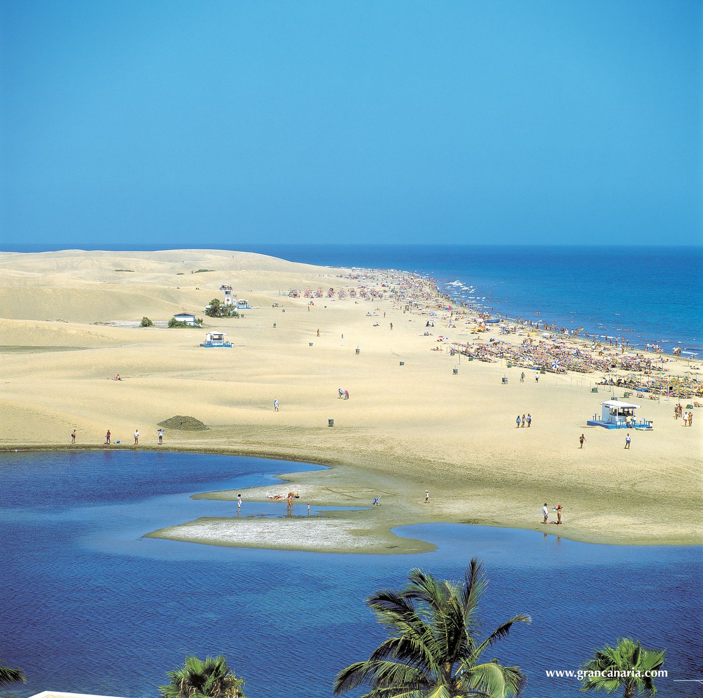 Seaside-Palm-Beach-Beach-68