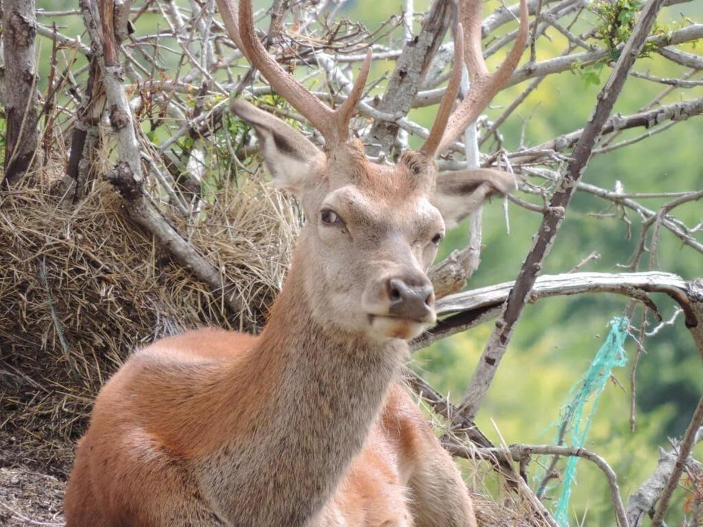 Albergo-Del-Sole-General-view-21