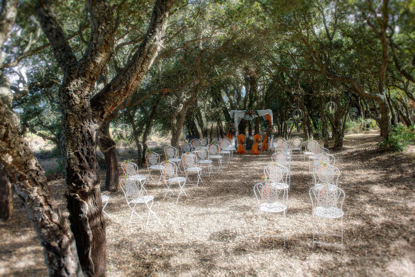 S-ena-Hotel-Sports-and-Entertainment-50